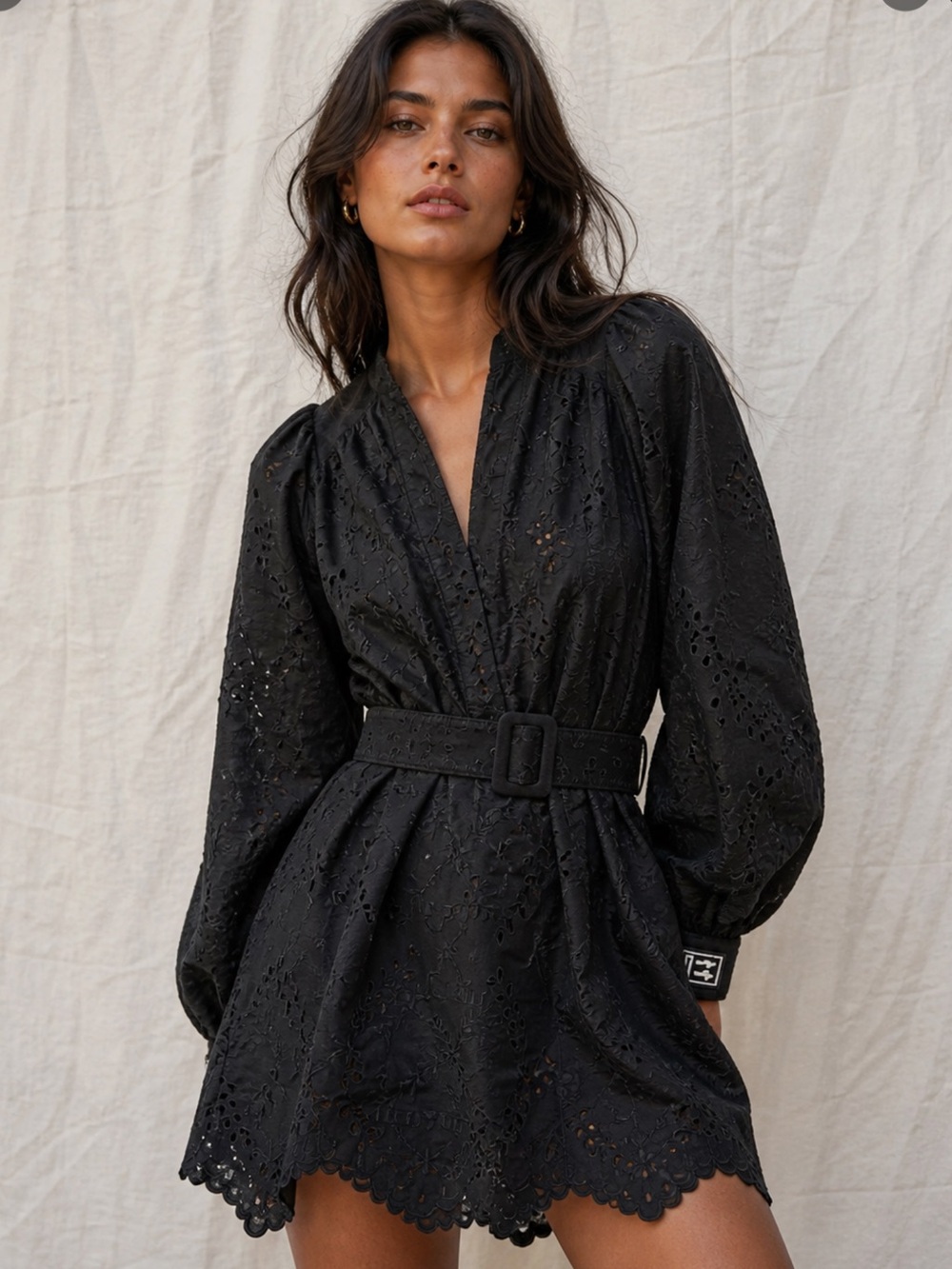 Off-White Broderie Anglaise Belted Mini Dress Black Size 38 (M)